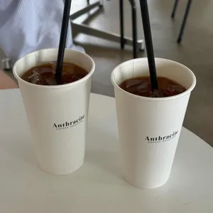 앤트러사이트 사진