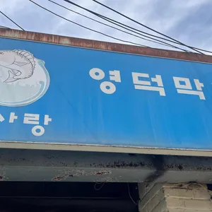 영덕막회 리뷰 사진