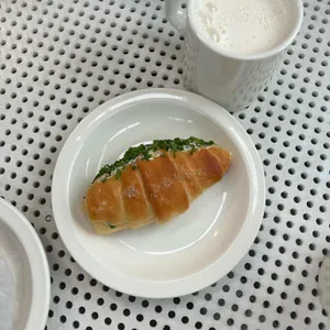 트라이톤 플랜트갤러리 사진