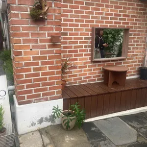 테르소 리뷰 사진