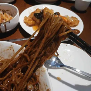 시시 사진