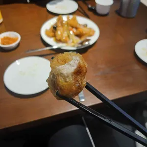 시시 사진