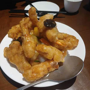 시시 사진