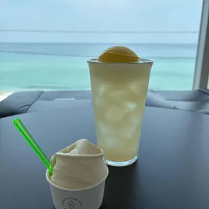 순두부젤라또 사진