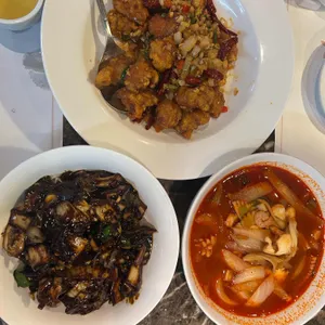 시옌 사진