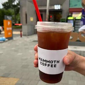 매머드익스프레스 사진