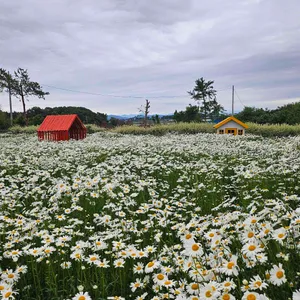 오늘여기  리뷰 사진