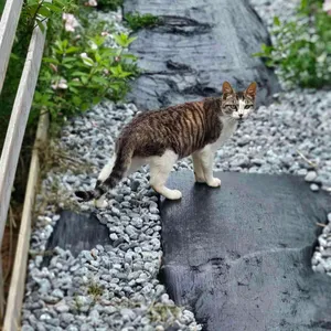 오늘여기  리뷰 사진