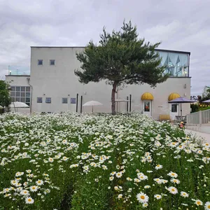 오늘여기  리뷰 사진