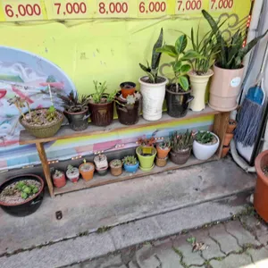 서울손칼국수 리뷰 사진