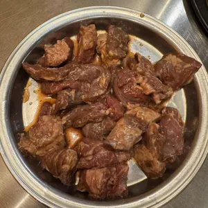신마포갈매기 사진