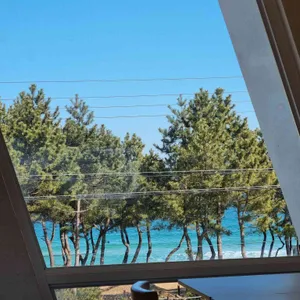 깔라마리 대표 사진