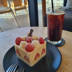 스타벅스  사진