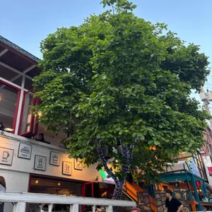 오네스토 리뷰 사진