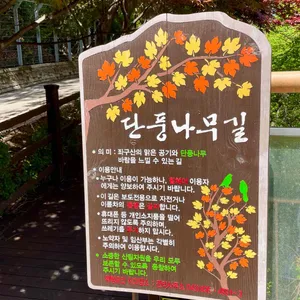 좌구산혜윰 리뷰 사진