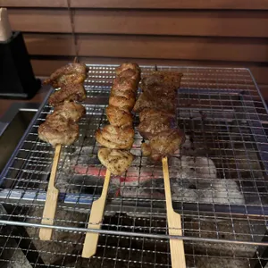 하이로리 사진