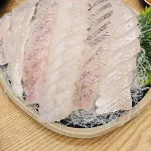 바다세상 사진