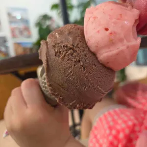 젤라또로플 사진 2