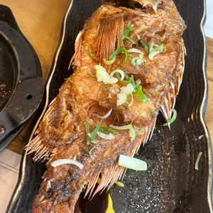 어다미 사진