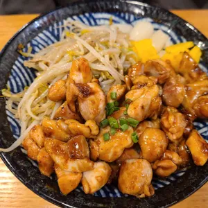 홍대개미 사진
