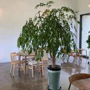 하이디 리뷰 사진