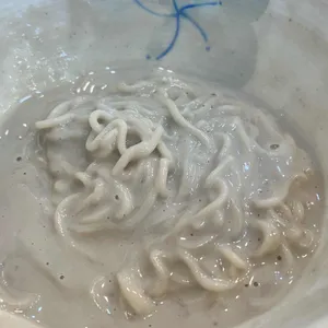 유달콩물 사진