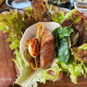 핑크돼지 사진