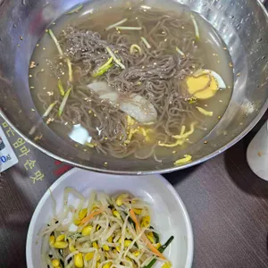 양은이네 사진
