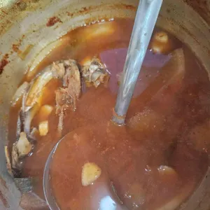 양은이네 사진