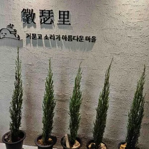 휘슬리 리뷰 사진