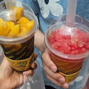 고망고 사진