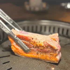 모티 사진