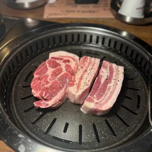 모티 사진