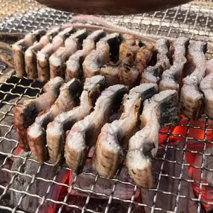 용담민물장어 사진