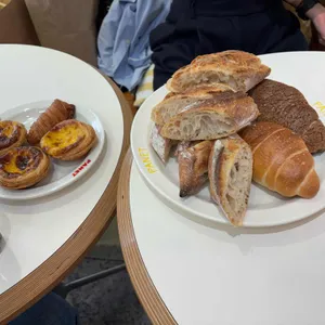 파네트 사진