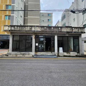 시계태엽 더 사로 리뷰 사진