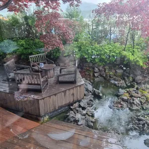 단풍도넛 리뷰 사진