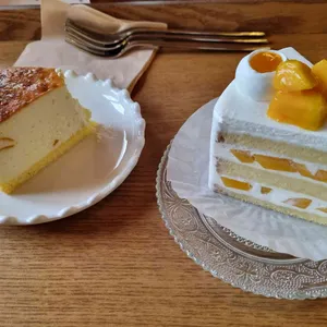 기와물결 사진