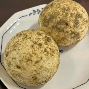 수미카페 사진