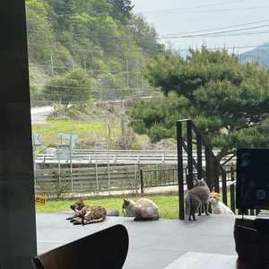 도선재 청평냉면 리뷰 사진