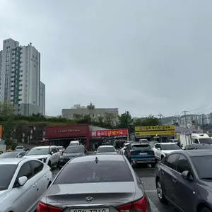 황금코다리 리뷰 사진