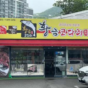 황금코다리 리뷰 사진