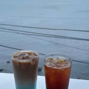 헤일르 사진