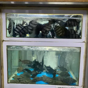 고기고수산횟집 리뷰 사진