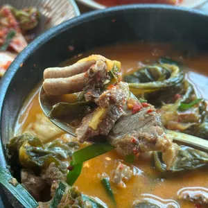 카페아를 사진