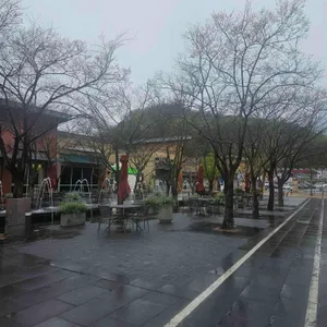 노티드 리뷰 사진