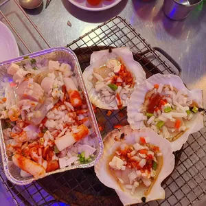 산호집 사진
