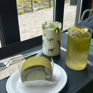 이끼숲소길 사진