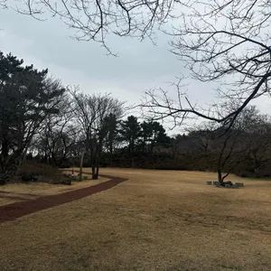 이끼숲소길 리뷰 사진