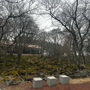 이끼숲소길 리뷰 사진